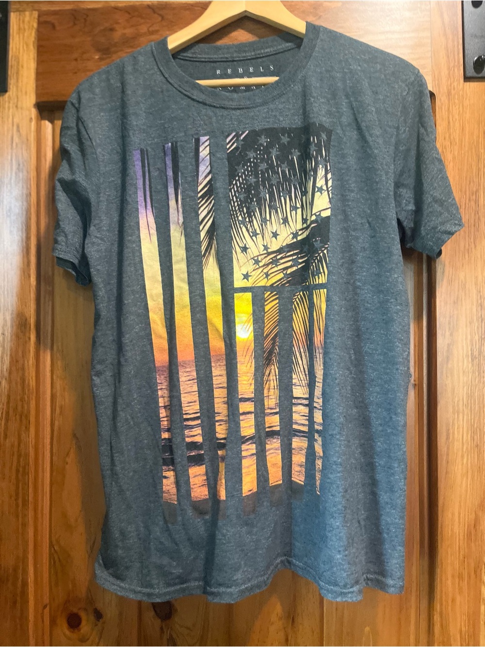 Rebels Men's Short Sleeve Graphic Tee - Heather Gray with Sunset Print